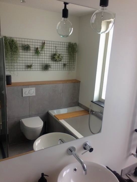 aiplant badkamer