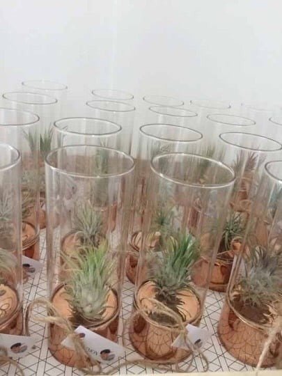 relatiegeschenk airplant relatiegeschenk airplant